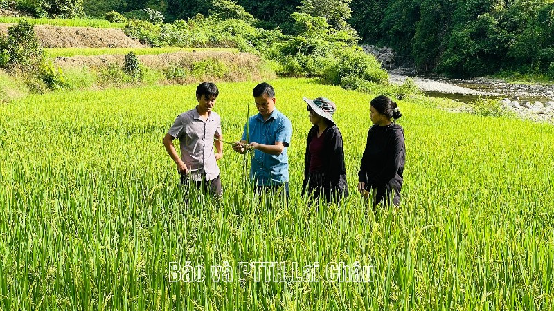 Hua Bum giảm bình quân 3-4% hộ nghèo mỗi năm