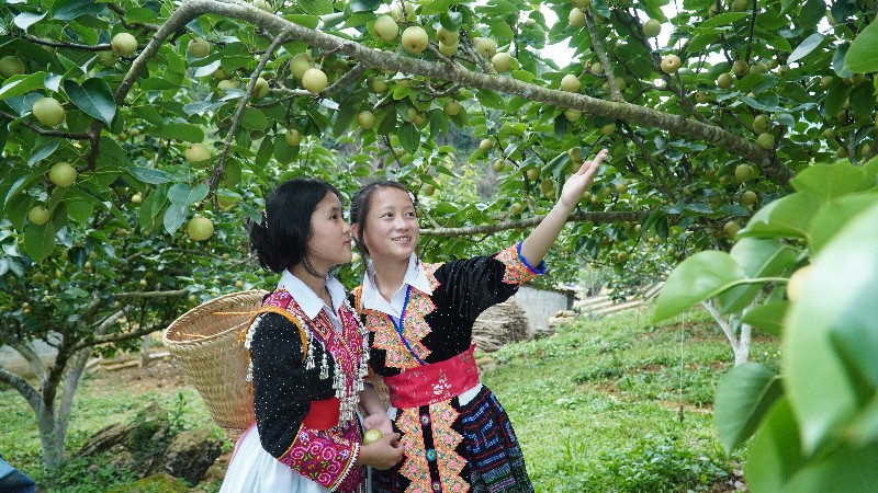 Lai Châu triển khai đồng bộ chính sách dân tộc tôn giáo