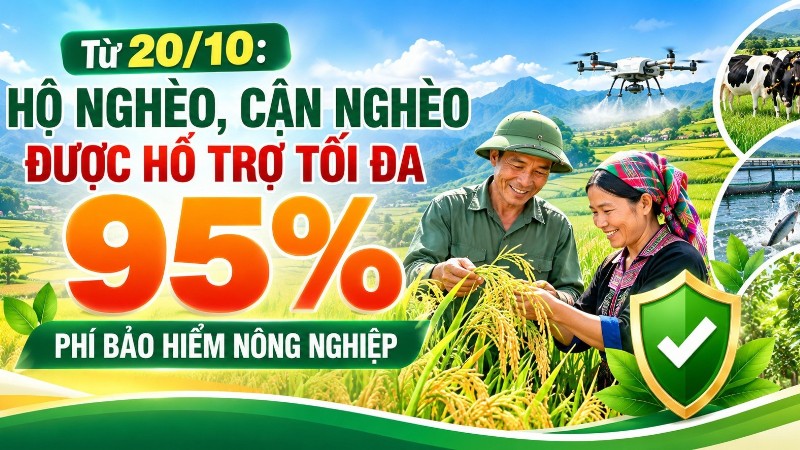 Từ 20/10: Hộ nghèo, cận nghèo được hỗ trợ tối đa 95% phí bảo hiểm nông nghiệp