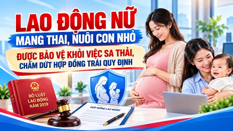 Lao động nữ mang thai, nuôi con nhỏ được bảo vệ khỏi việc sa thải, chấm dứt hợp đồng trái quy định