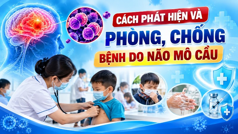Cách phát hiện và phòng, chống bệnh do não mô cầu