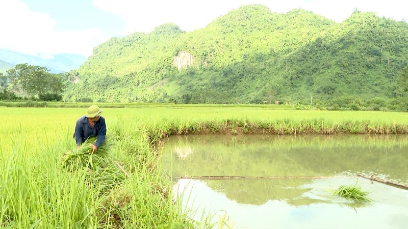 Tân Phong khai thác hiệu quả lợi thế tự nhiên, phát triển thuỷ sản