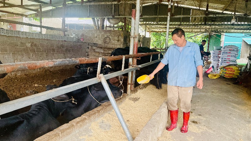 Hiệu quả từ nguồn vốn Quỹ hỗ trợ nông dân