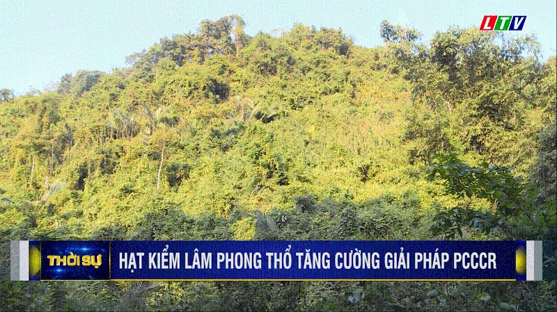 HẠT KIỂM LÂM PHONG THỔ TĂNG CƯỜNG GIẢI PHÁP PCCCR