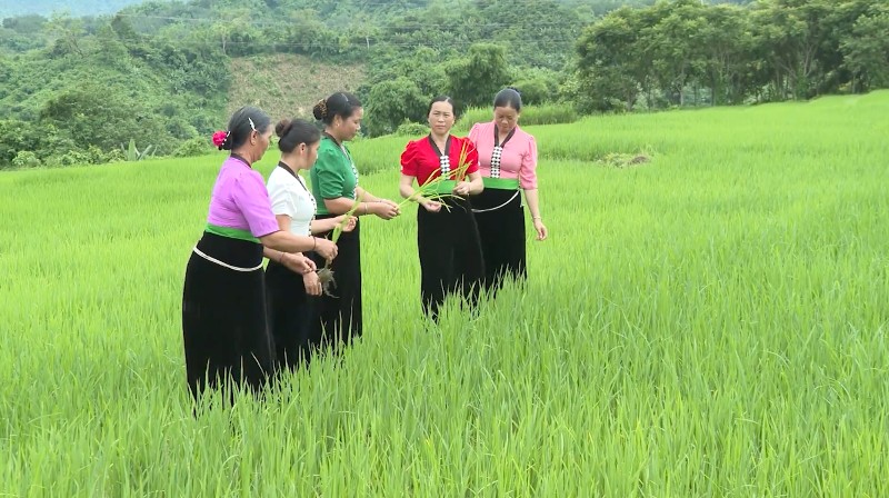 "Cầu nối" lan tỏa bình đẳng giới tại Nậm Hàng