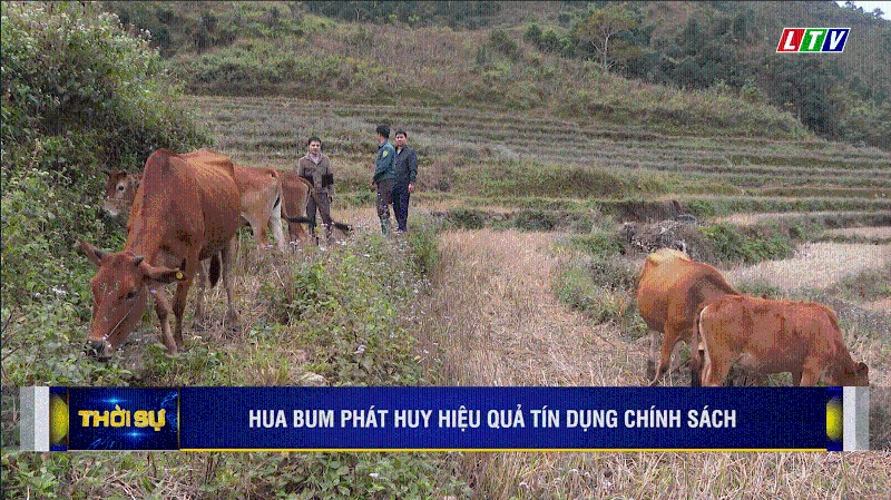 HUA BUM PHÁT HUY HIỆU QUẢ TÍN DỤNG CHÍNH SÁCH