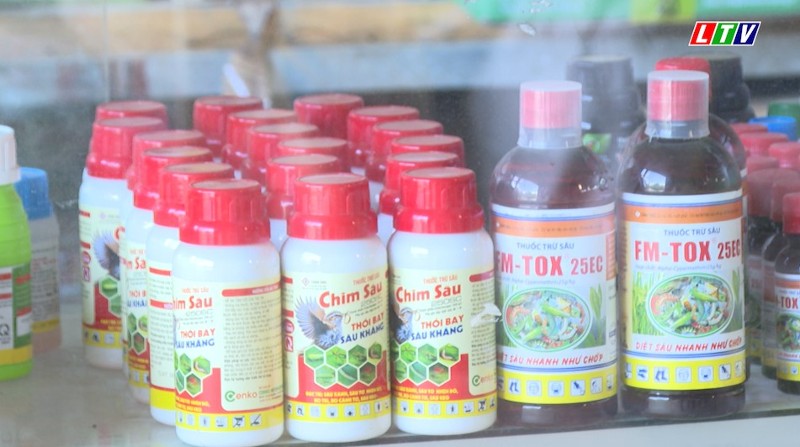 Lai Châu siết chặt quản lý cơ sở kinh doanh thuốc bảo vệ thực vật