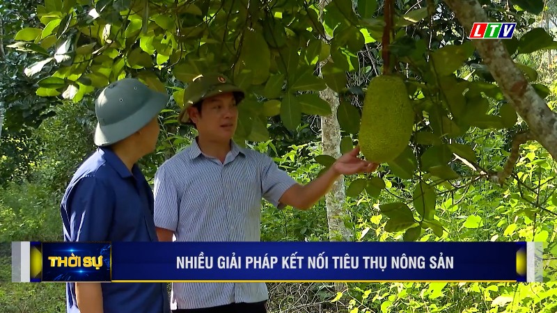 NHIỀU GIẢI PHÁP KẾT NỐI TIÊU THỤ NÔNG SẢN