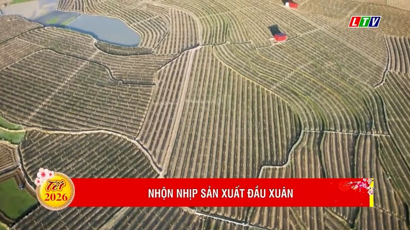 NHỘN NHỊP SẢN XUẤT ĐẦU XUÂN
