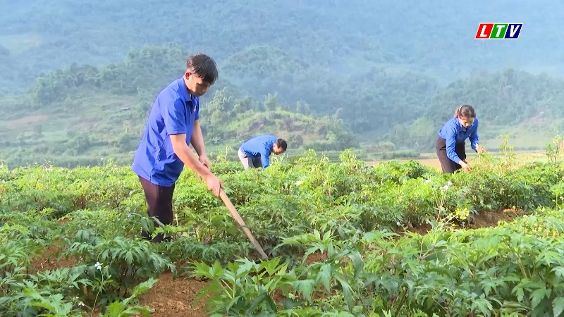 TUỔI TRẺ LAI CHÂU TIÊN PHONG, XUNG KÍCH VÌ QUÊ HƯƠNG GIÀU ĐẸP 