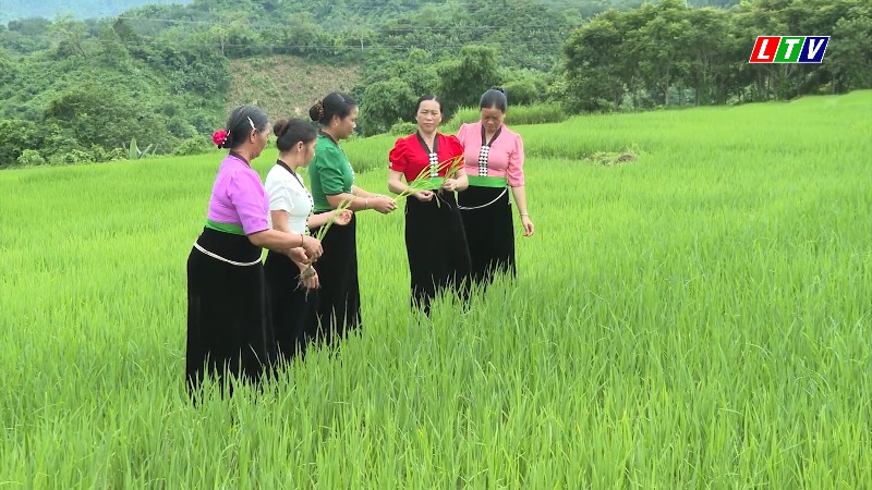 "Cầu nối" lan tỏa bình đẳng giới tại Nậm Hàng