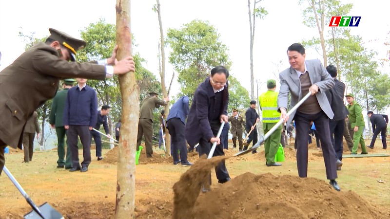 LAN TỎA PHONG TRÀO TRỒNG CÂY XANH VÌ TƯƠNG LAI BỀN VỮNG