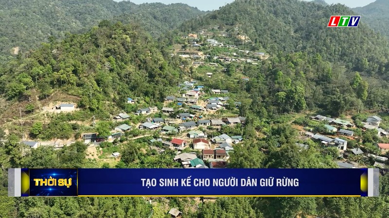 TẠO SINH KẾ CHO NGƯỜI DÂN GIỮ RỪNG