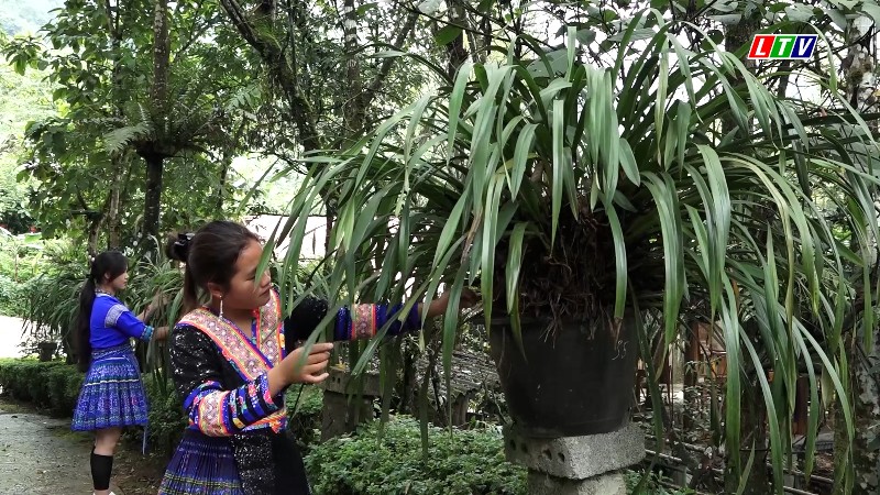 SỚM ĐƯA NGHỊ QUYẾT ĐẠI HỘI XIV CỦA ĐẢNG VÀO CUỘC SỐNG