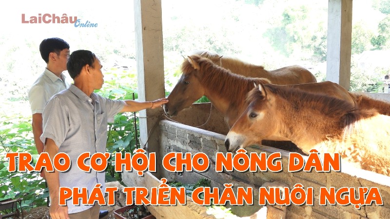 Trao cơ hội cho nông dân phát triển chăn nuôi ngựa