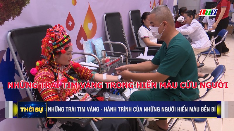 Những trái tim vàng trong hiến máu cứu người