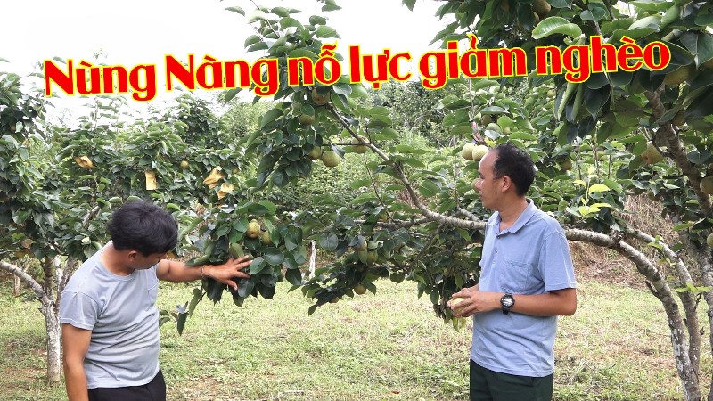 Nùng Nàng nỗ lực giảm nghèo