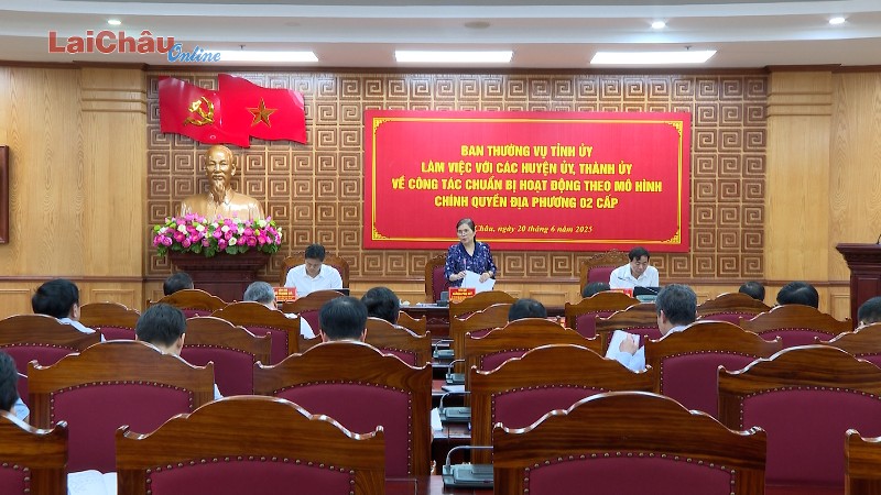 Chuẩn bị hoạt động theo mô hình chính quyền địa phương 2 cấp