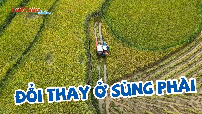 Đổi thay ở Sùng Phài