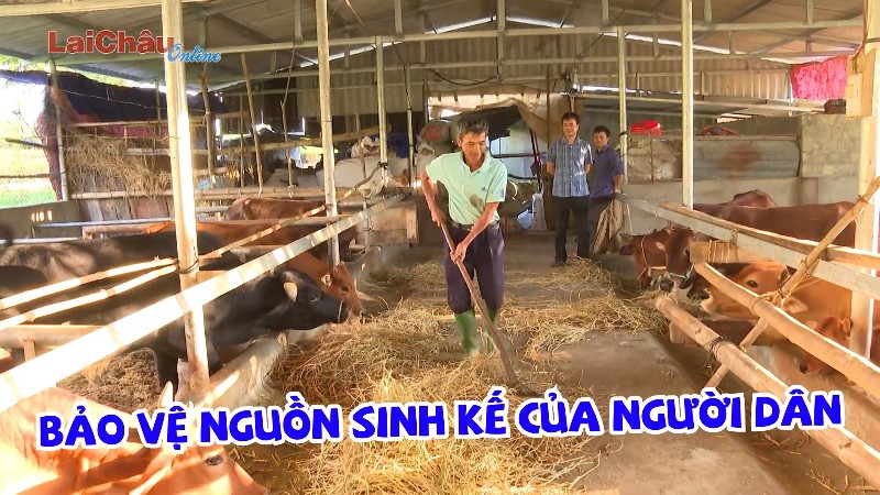Bảo vệ nguồn sinh kế của người dân
