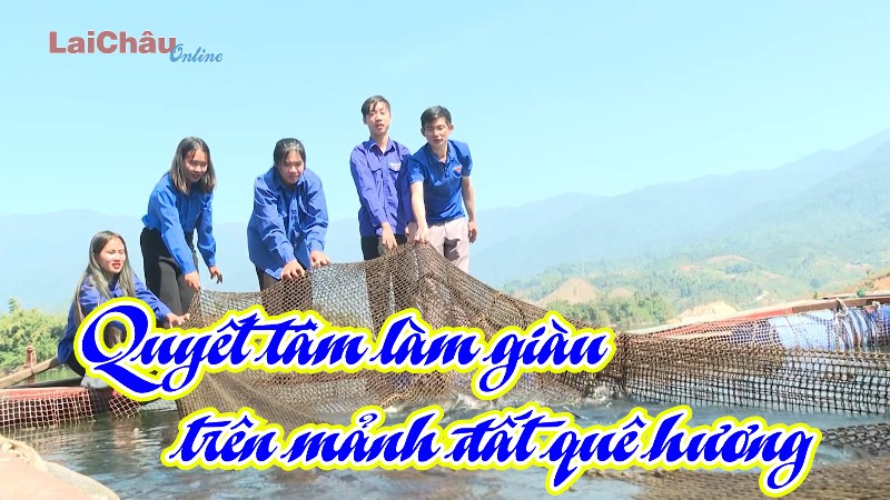 Quyết tâm làm giàu trên mảnh đất quê hương