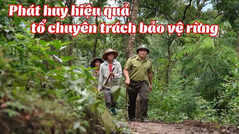 Phát huy hiệu quả tổ chuyên trách bảo vệ rừng