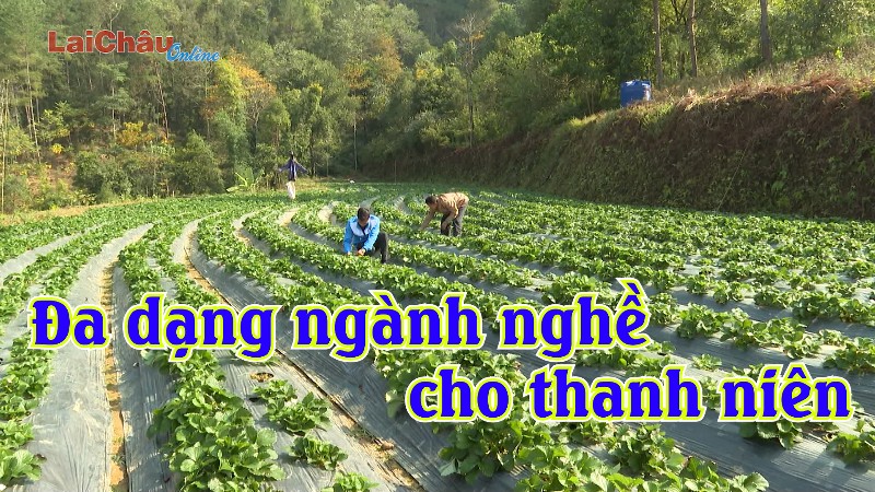 Đa dạng ngành nghề cho thanh niên