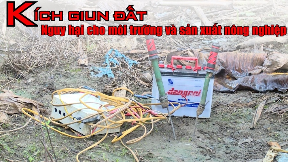 Kích giun đất - Nguy hại cho môi trường và sản xuất nông nghiệp