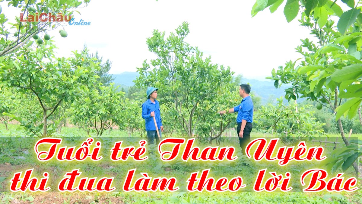 Tuổi trẻ Than Uyên thi đua làm theo lời Bác