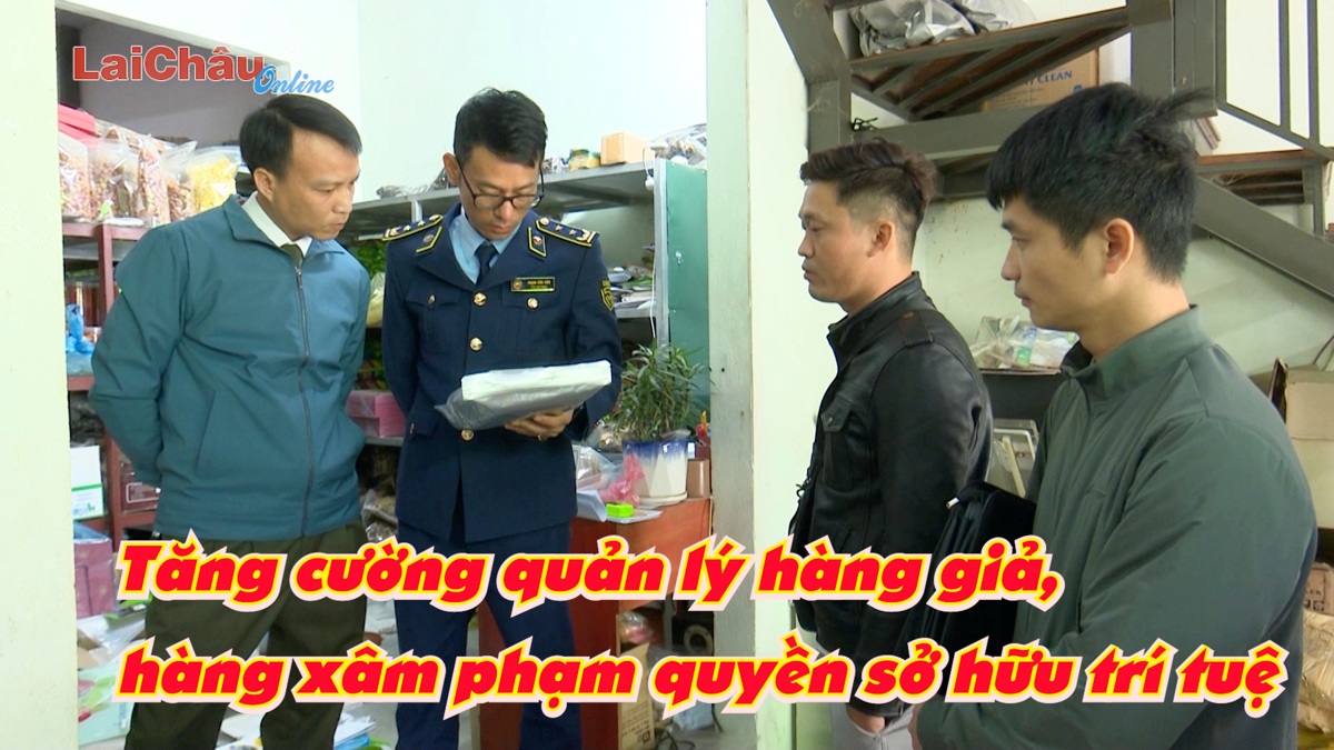 Tăng cường quản lý hàng giả, hàng xâm phạm quyền sở hữu trí tuệ 