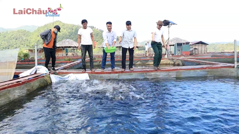 Sóng sánh vàng trên lòng hồ thuỷ điện