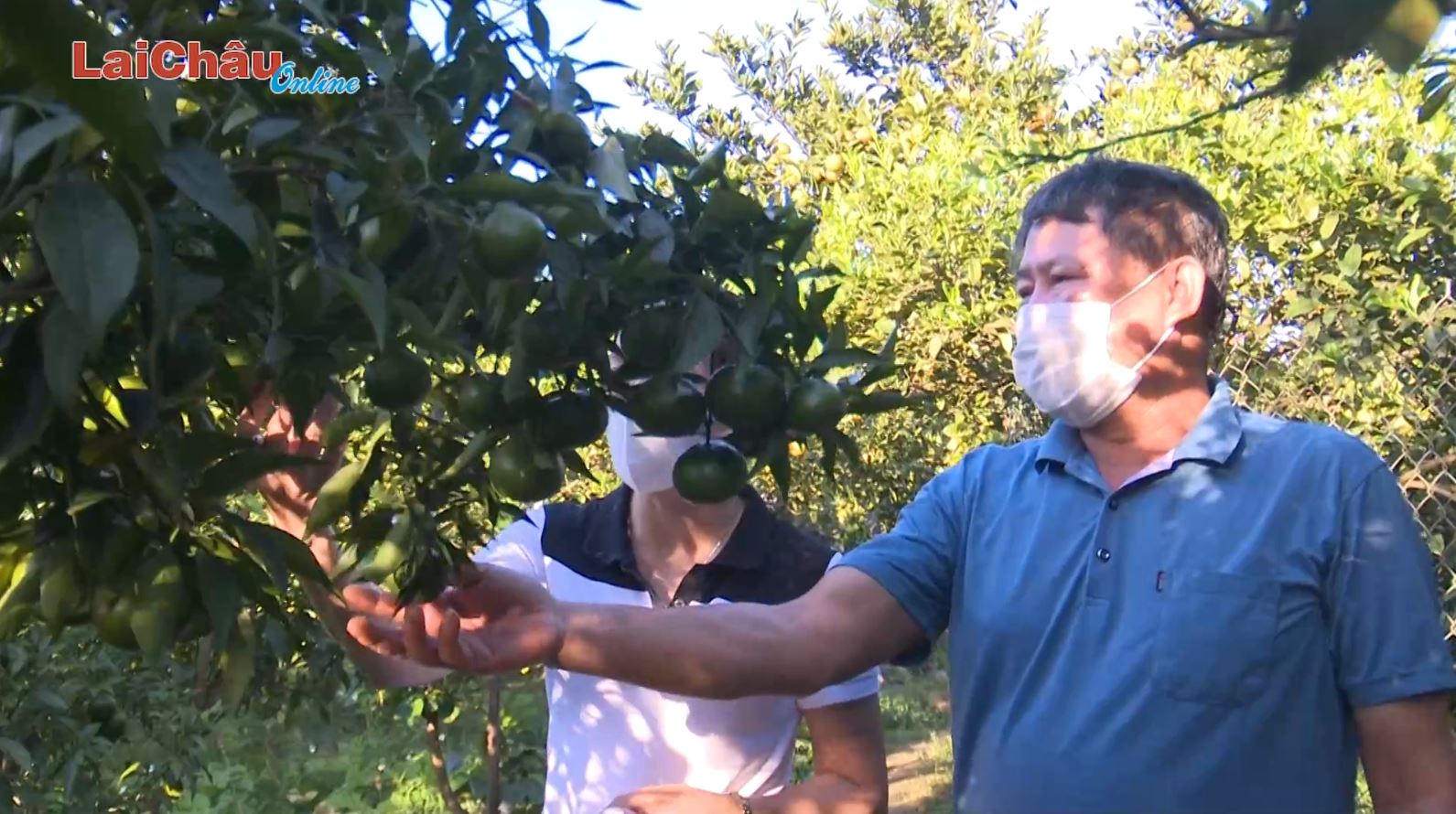 Thành công từ tâm huyết với nghề