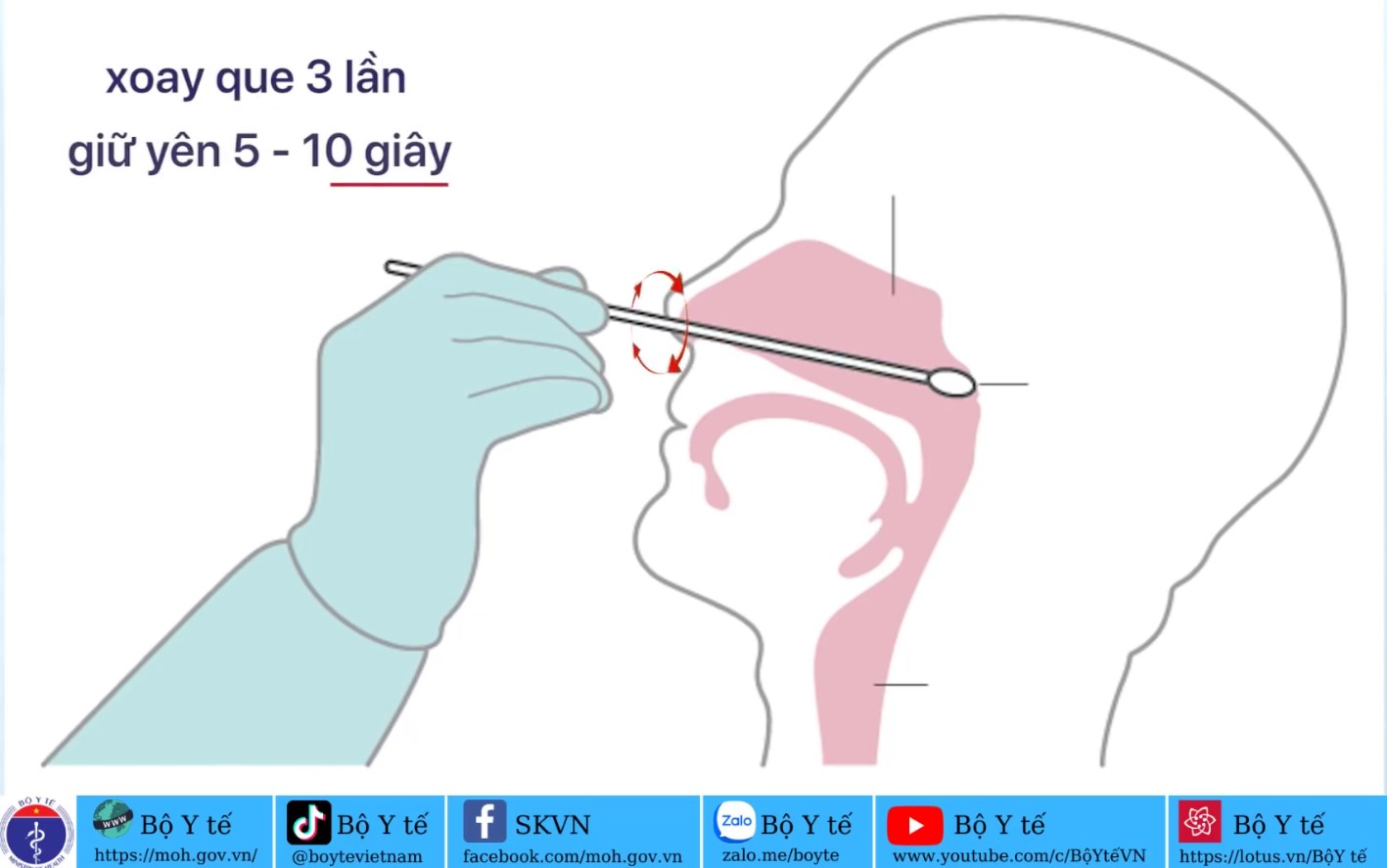 Hướng dẫn tự lấy mẫu xét nghiệm Covid-19 tại nhà