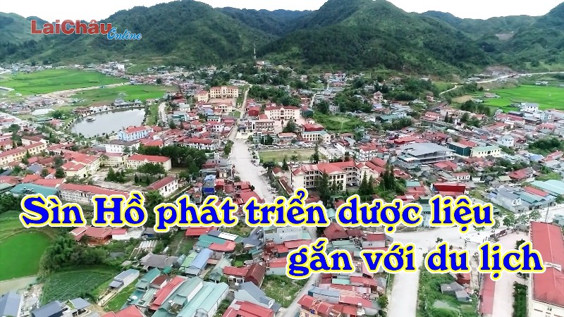 Sìn Hồ phát triển dược liệu gắn với du lịch