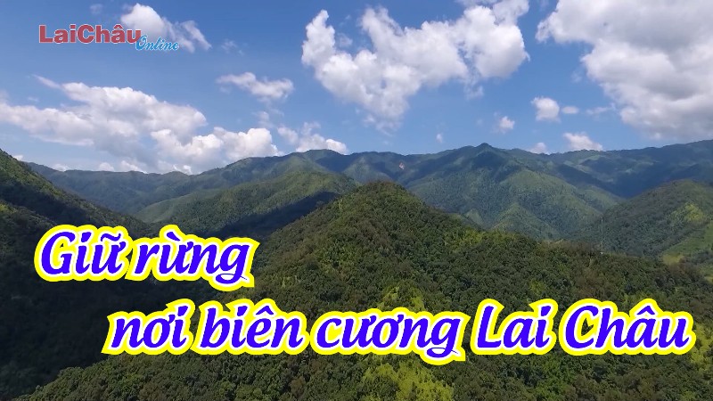 Giữ rừng nơi biên cương Lai Châu