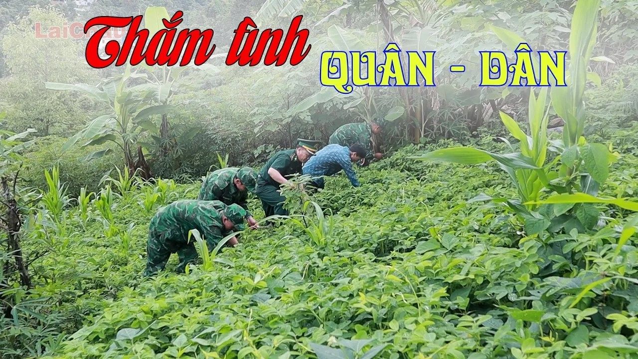 Thắm tình quân - dân