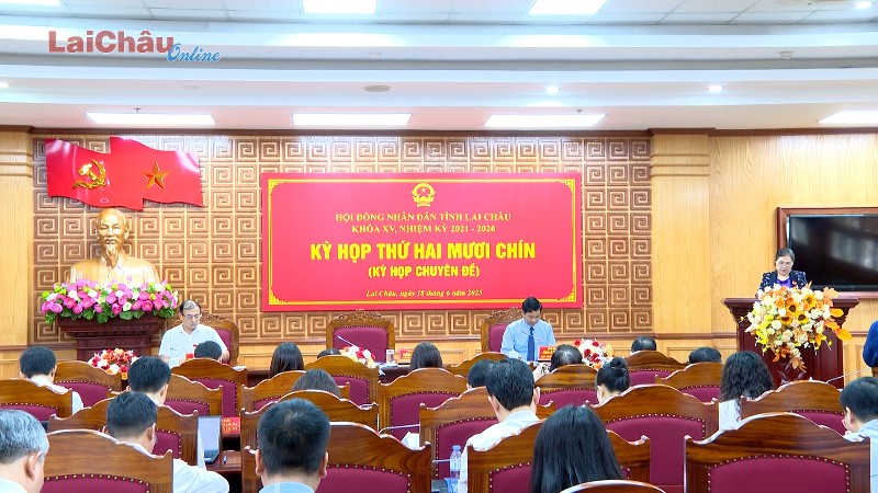 Kỳ họp thứ hai mươi chín (Kỳ họp chuyên đề) HĐND tỉnh khóa XV