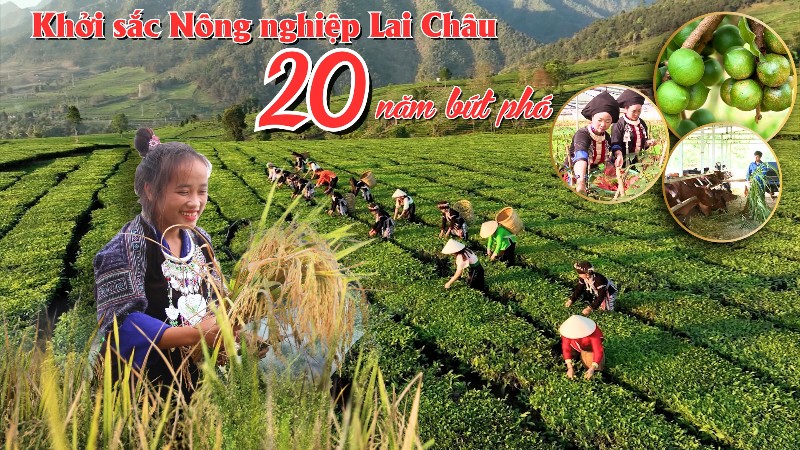 Khởi sắc Nông nghiệp Lai Châu - 20 năm bứt phá