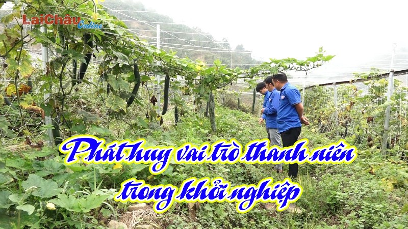 Phát huy vai trò thanh niên trong khởi nghiệp